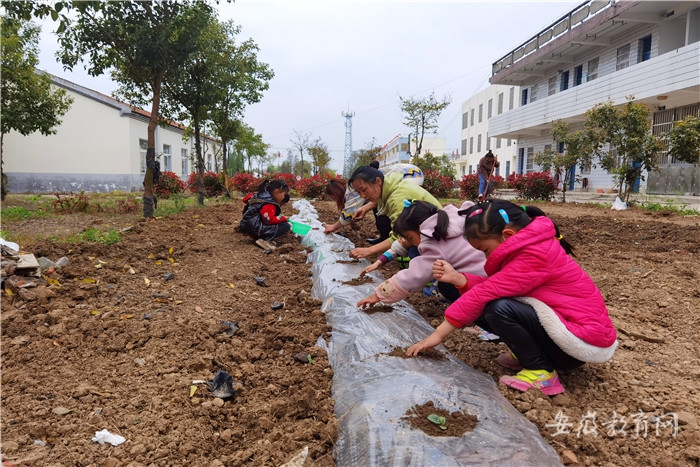 2021年4月22日是第52个世界地球日，定远县仁和学校开展“修复地球”种植活动，学生们在老师的指导下，种下一株株西瓜苗 贾传浩 摄.jpg