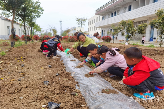 定远县仁和学校幼儿园老师带领幼儿在种植园开展劳动实践活动贾传浩  摄.jpg